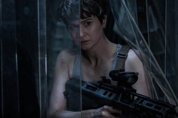 new-ripley