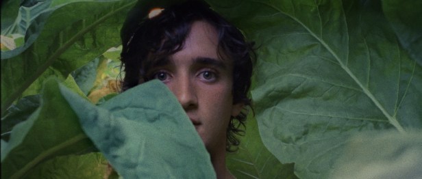 Happy Lazzaro